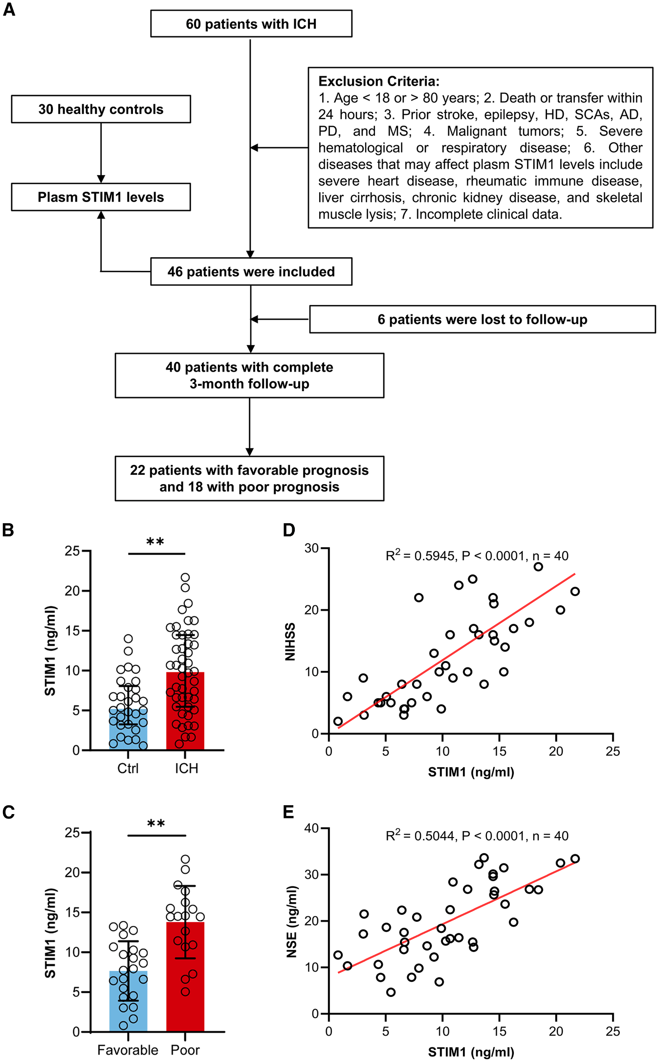 STIM1 regulates iron homeostasis and promotes neuronal ferroptosis to aggravate cerebral hemorrhage STIM1 regulates iron homeostasis and promotes neuronal ferroptosis to aggravate cerebral hemorrhage